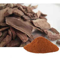 terminalia arjuna extract