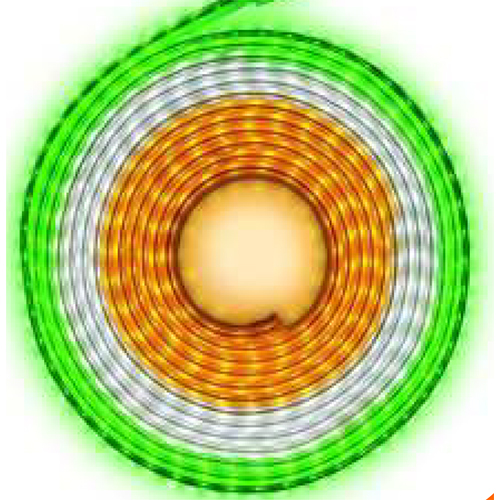 2835 SMD 120Led SMD Rope Highlumins 8MM Thickness Tricolor (Tiranga)