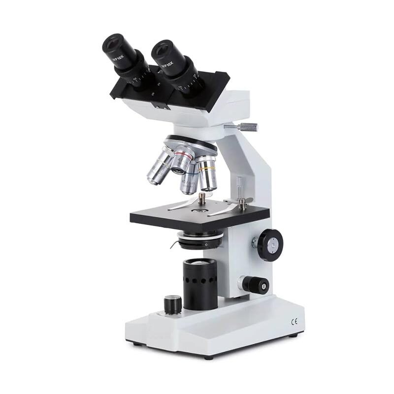 Binocular Microscope