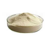 Acacia Gum Powder Senegalia Senegal - Cultivation Type: Organic