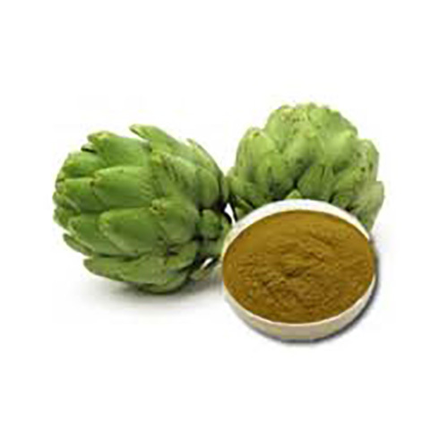 Artichoke Powder Cynara Cardunculus Var