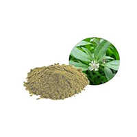 Bhringraj Powder Eclipta Alba - Cultivation Type: Organic