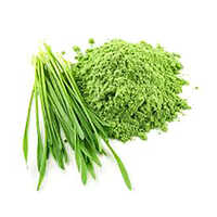 Barley Grass Powder Hordeum Vulgare - Cultivation Type: Organic