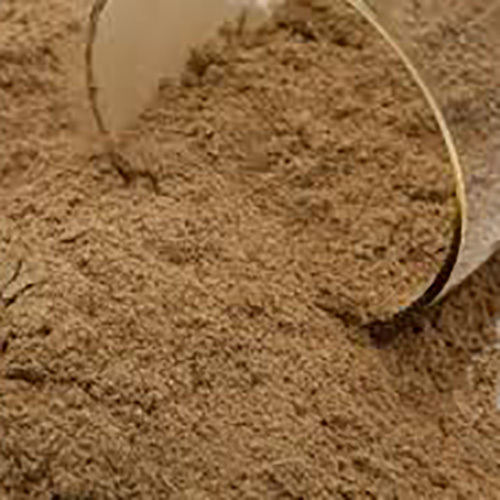 Bala Powder Sida Cordifolia