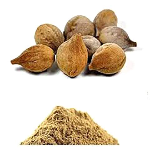 Baheda Powder - Bibhitaki Terminalia Bellerica