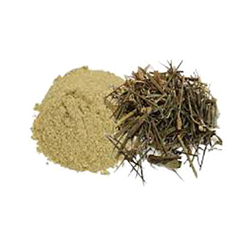 Chirata Powder Swertia Chirayita