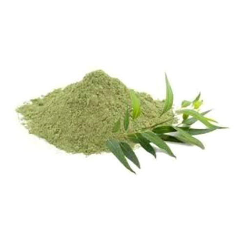 Eucalyptus Powder Eucalyptus Globules