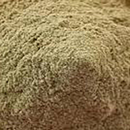 Erand Mool Powder Ricinus Communis