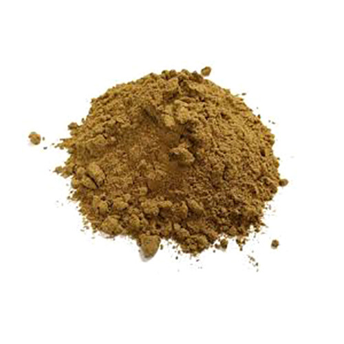 Ginkgo Biloba Powder Ginkgo Folium