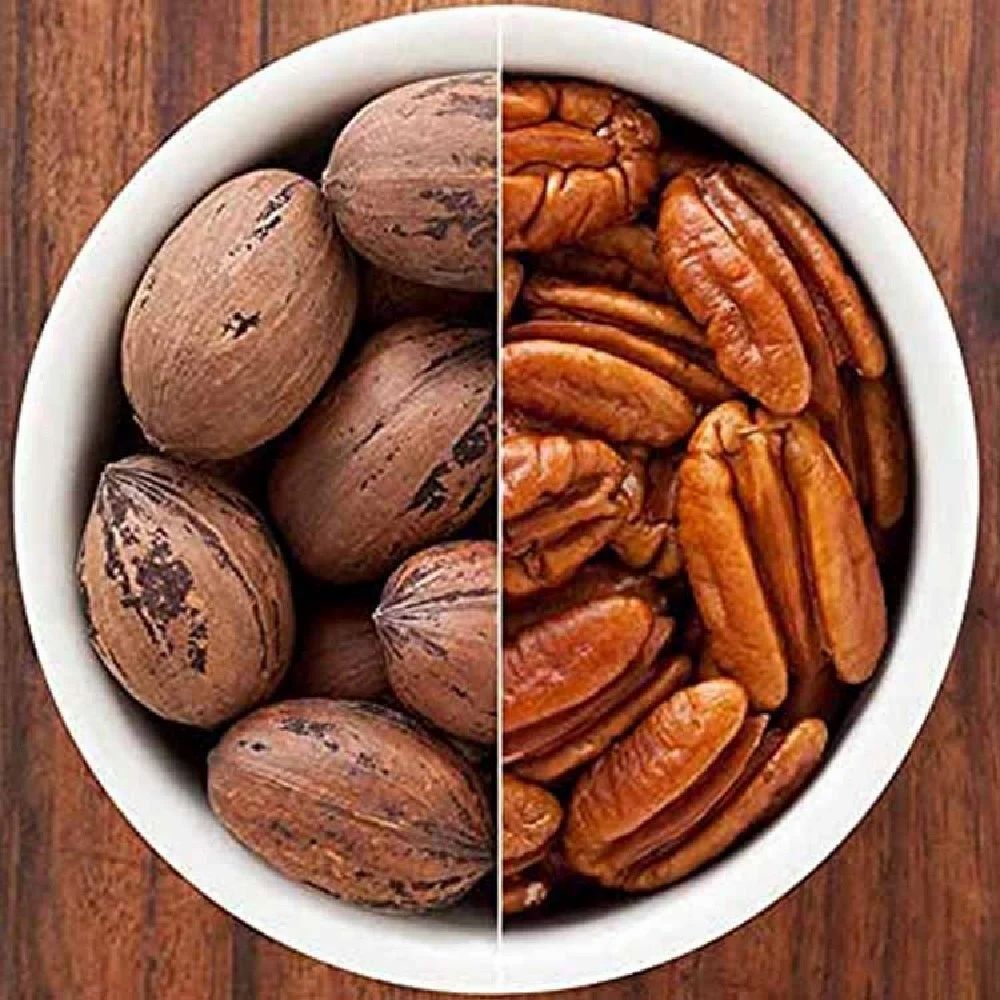 Dried Pecan Nuts - Grade: Food Grade