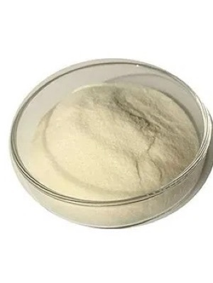 Sodium Alginate