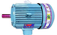 10 HP Three Phase Induction Motors