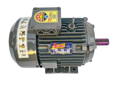 AC Induction Motor