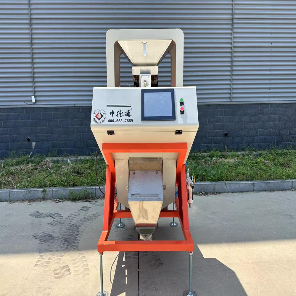 High Power Single Chute Salt Optical Color Sorting Machine Peeled Garlic Peanuts Raisin Color Sorter Machine - Automation Grade: 1