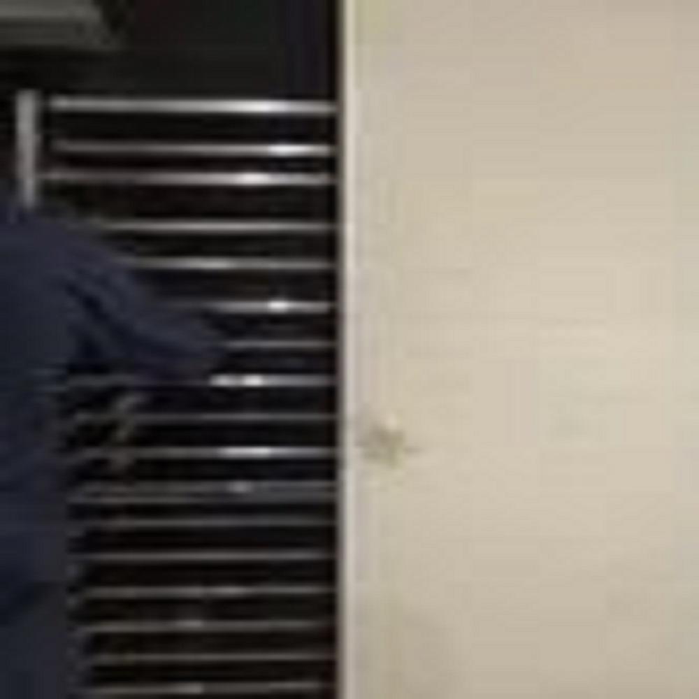 Mariya Tray Dryer -(48 TRAY)