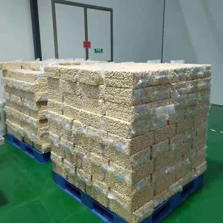 Cashew Nuts W180 W320 W240 ready for  Export