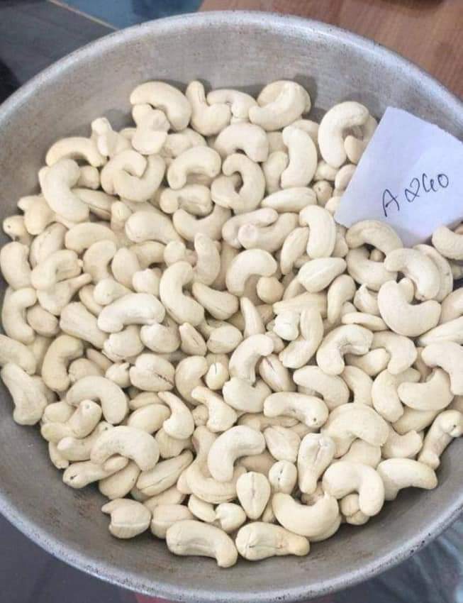 Cashew Nuts W180 W320 W240 ready for  Export