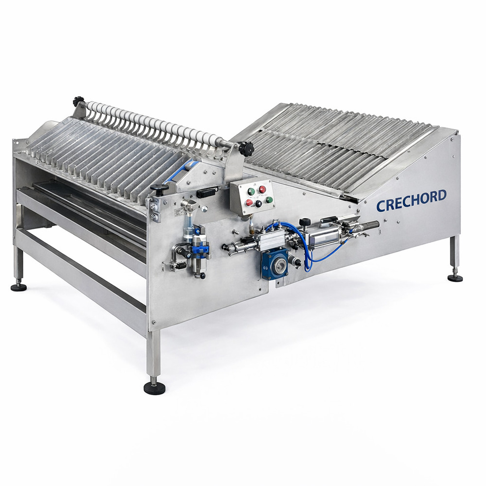 22STK002 Soft Biscuit Production Line