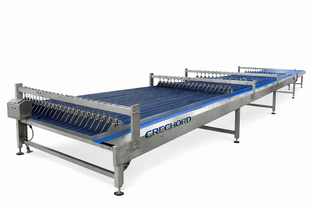 23STK003 Soft Biscuit Production Line