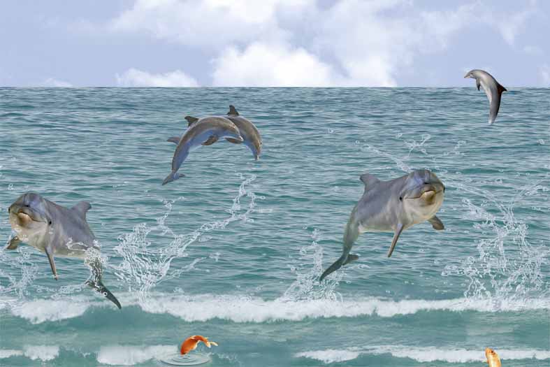 6284 Glossy Wall Poster Tiles