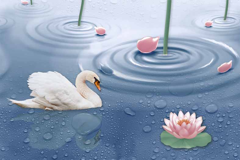 6220 Glossy Wall Poster Tiles