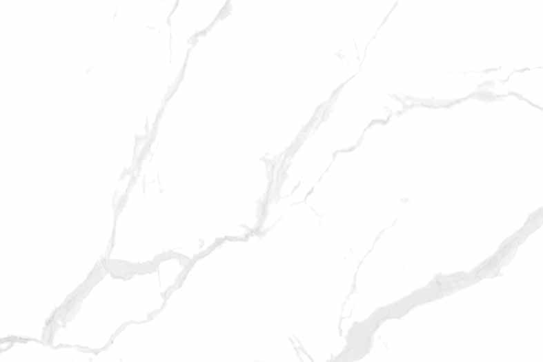 808 Glossy Finish Wall Tiles