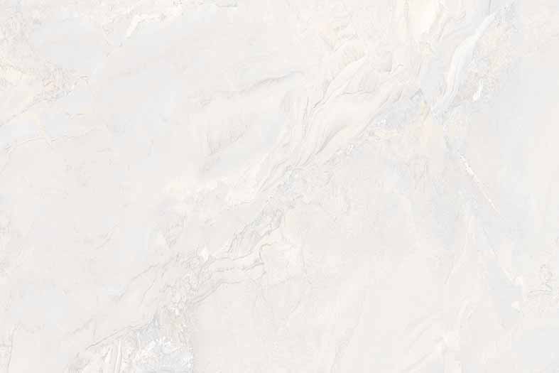 800 Glossy Finish Wall Tiles