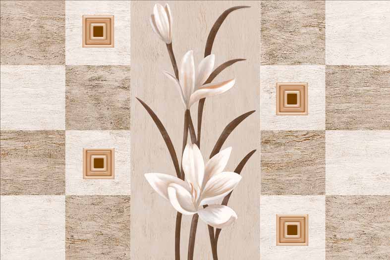 Glossy Finish Wall Tiles