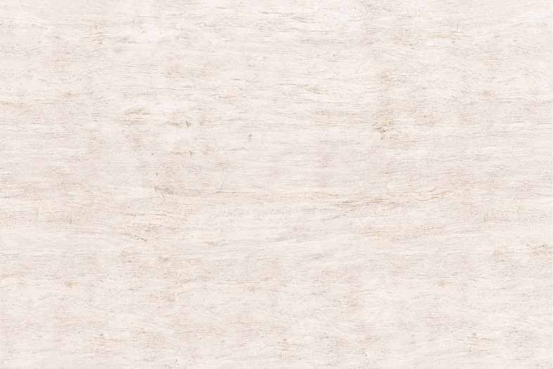 Glossy Finish Wall Tiles