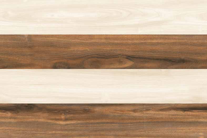 Glossy Finish Wall Tiles