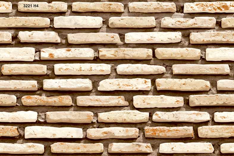 Elevation Wall Tiles