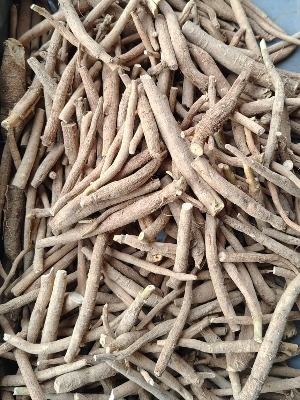 Ashwagandha root