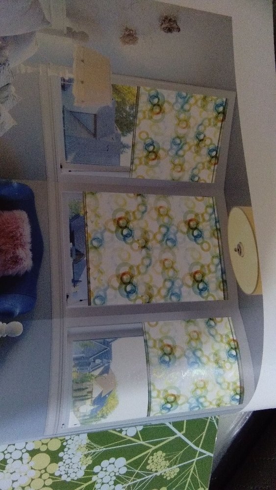 Printed Window Roller Blind By Alex Interiors & Decorator