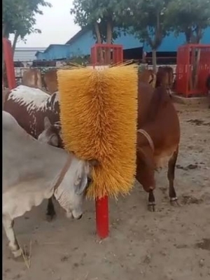 Cow Cleaning Roller Brush - Bristle Color: Yellow