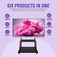 Interactive Flat Panels