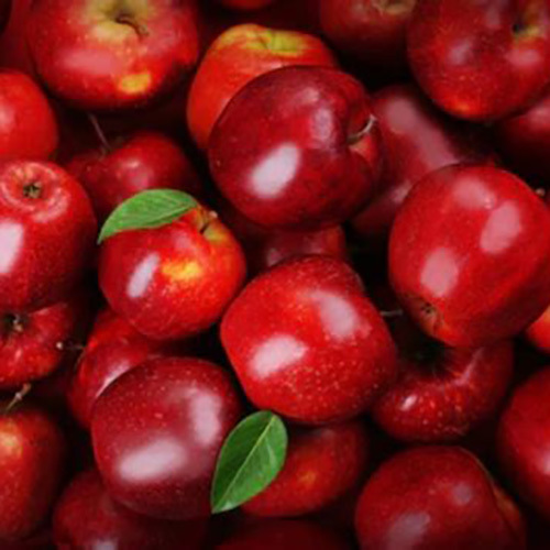 Kashmiri Kullu Apple