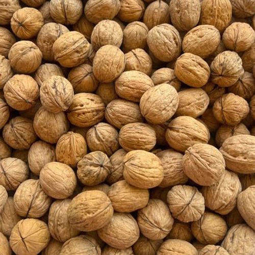 Kashmiri High Quality Walnut