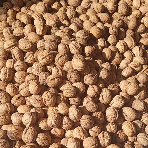 Kashmiri High Quality Pure Walnut