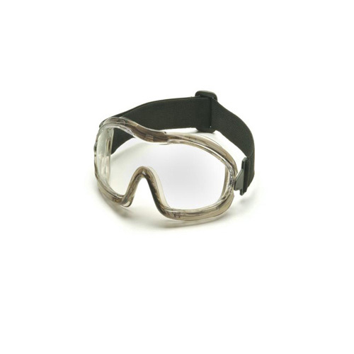 ESD Goggle