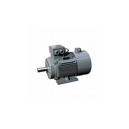 Induction Motor Crane Duty - Color: Grey