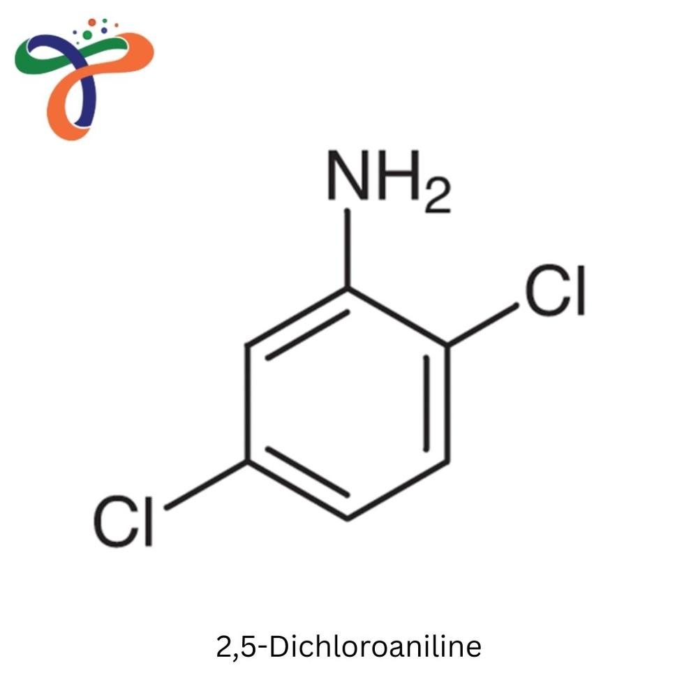 2,5-Dichloroaniline (95-82-9) (C6H5Cl2N)