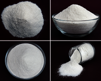 Pepsin Enzyme Powder - Application: Digests Proteins In Food
