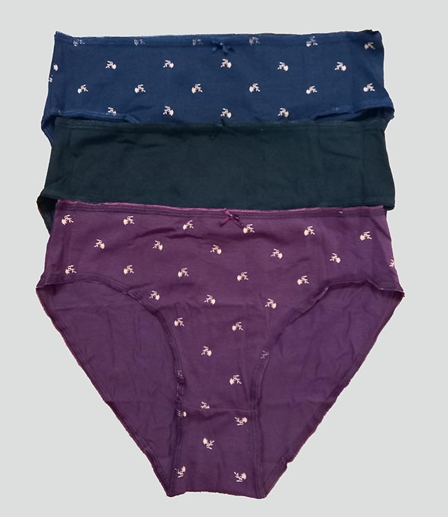 W13391 Insense Ladies 3 pc pack Stretch Briefs