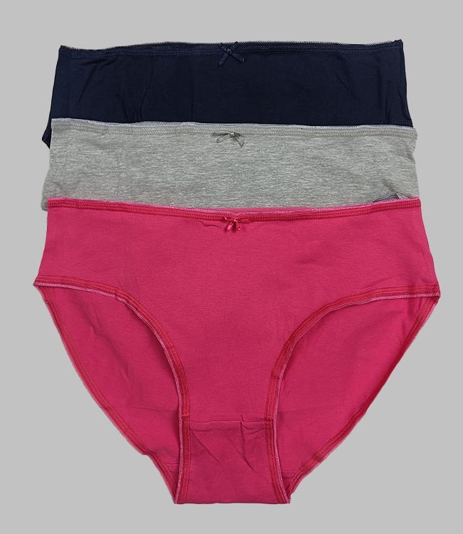 W13391 Insense Ladies 3 pc pack Stretch Briefs