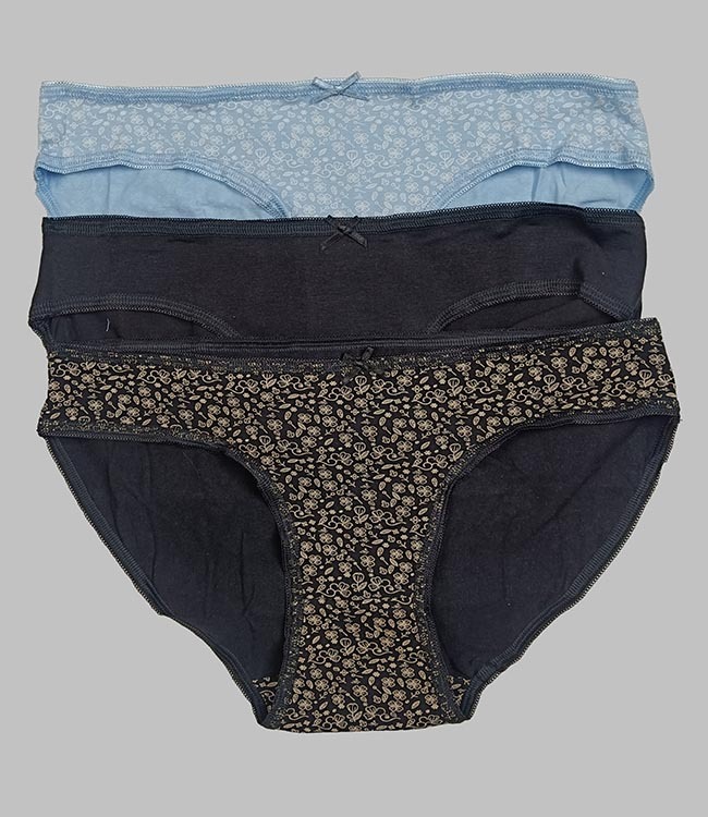 W13391 Insense Ladies 3 pc pack Stretch Briefs