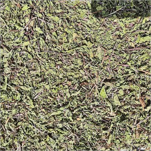 Dried Mint Leaves