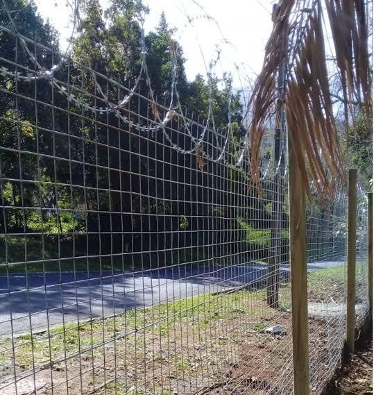 Welded Mesh Fencing - Color: Multiple
