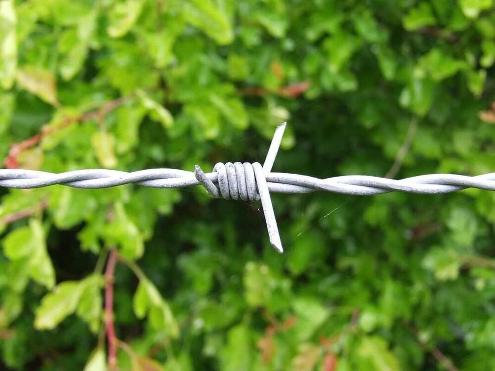 Barbed Wire - Color: Multiple