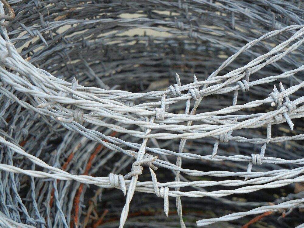 Barbed Wire - Color: Multiple