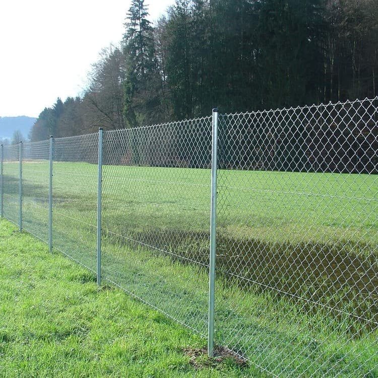 Chain Link Fence Mesh